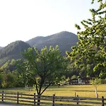 Weitgasserhof ゲストハウス 3*