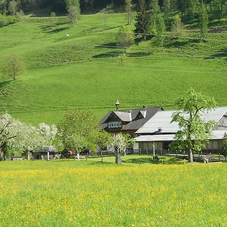 Weitgasserhof 3* Шладминг