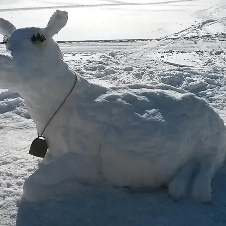 Weitgasserhof Шладмінг