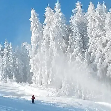 Weitgasserhof Шладмінг