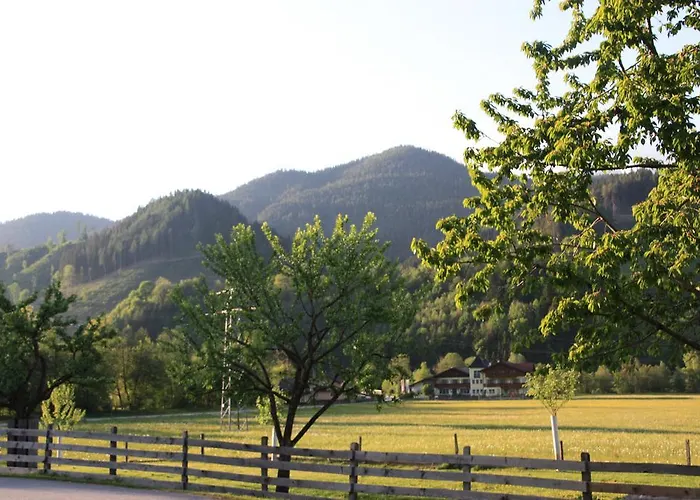 Weitgasserhof 게스트하우스 3*