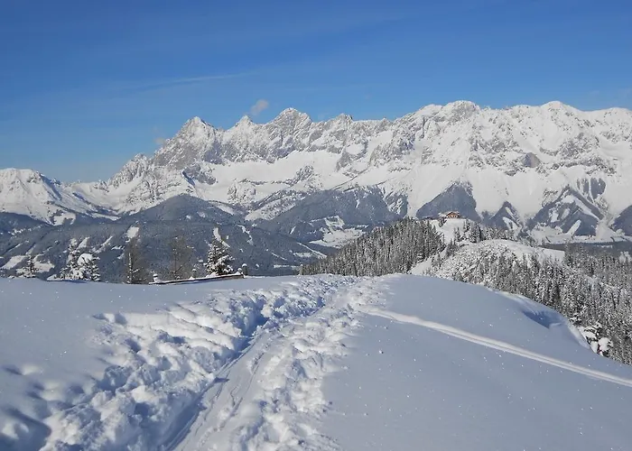 게스트하우스 Weitgasserhof